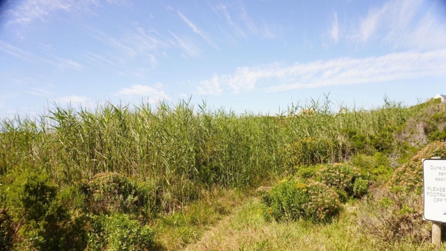 0 Bedroom Property for Sale in Bettys Bay Western Cape